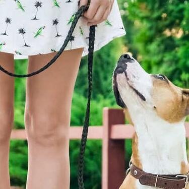 Woman with a dog on a leash