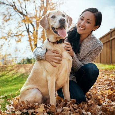 Asian woman, labrador and fun at park in autumn season