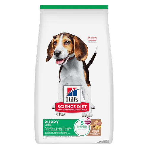 Puppy Lamb Meal & Brown Rice Recipe Packshot