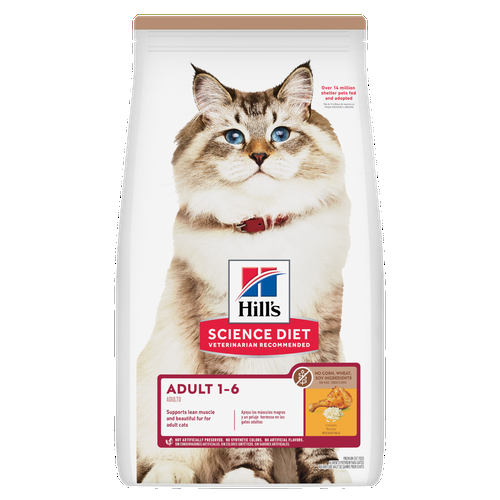 Adult No Corn, Wheat, Soy Chicken Recipe Cat Food Packshot