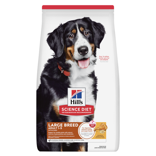 Adult Large Breed Chicken & Barley Recipe Dog Food Packshot