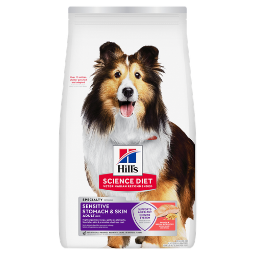 Adult Stomach & Skin Salmon & Brown Rice Recipe Dog Food Packshot