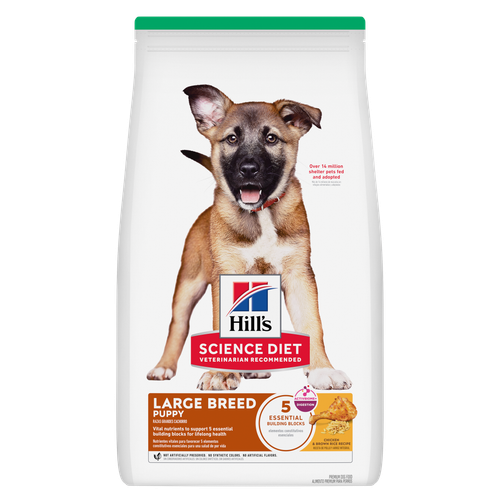 Puppy Large Breed Chicken & Brown Rice Recipe Packshot